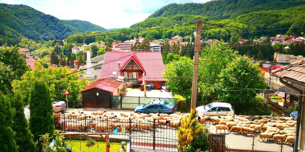 Hotel Casa Giulia Băile Olăneşti Exterior foto